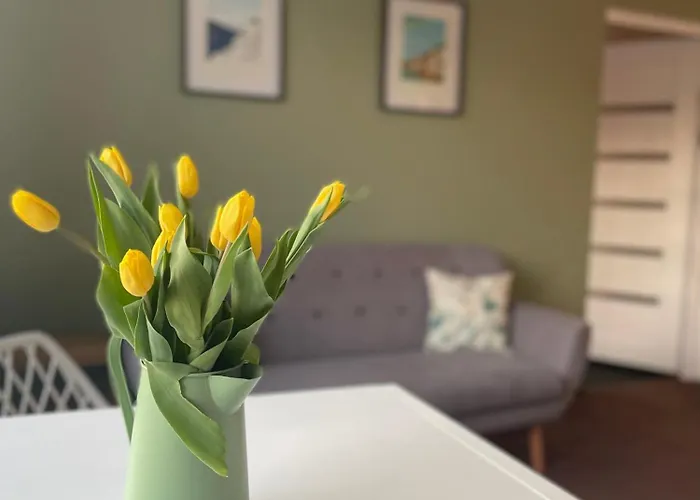 Green Apartament Appartement